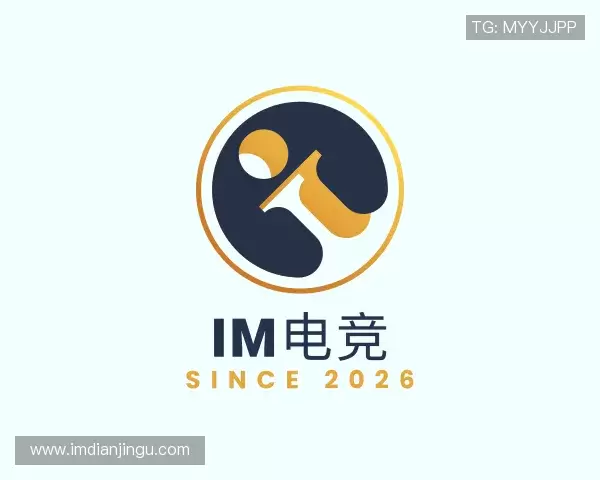 关于IM电竞